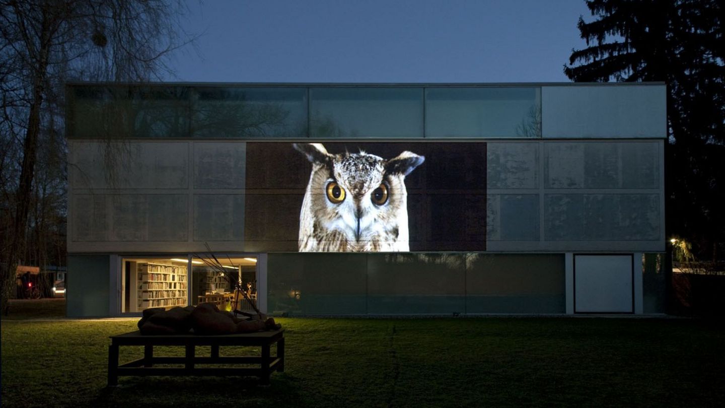 Photo of the Sammlung Goetz at dusk, showing a sculpture in front of the brightly lit entrance area. A video by Doug Aitken is projected on the wooden panels of the collection building, just showing the frontal view of a Virginia Eagle Owl. Doug Aitken, Sammlung Goetz Munich