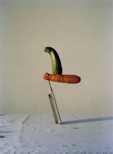Diese Fotografie von Fischli & Weiss zeigt ein zusammengestecktes Objekt, bestehend aus einer feinen Käsereibe, einer in deren Griff gesteckten Karotte, auf der sich wiederum die Hälfte einer Zucchini befindet.