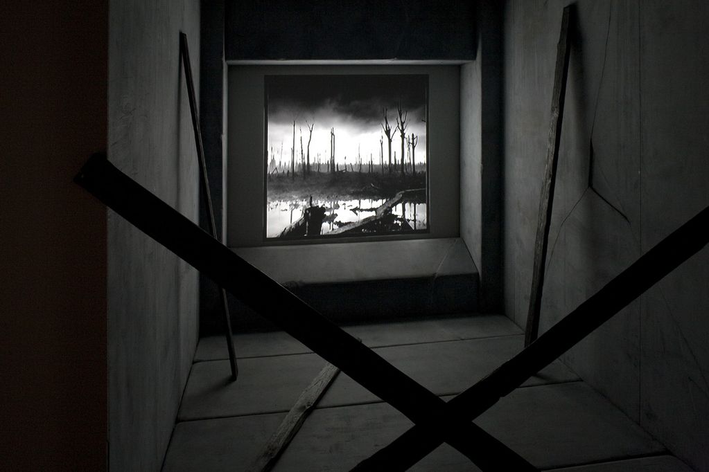 This work is a sculptural video installation. On view is a video still in black and white depicting a desolate forest landscape, while in front of it are copses blocking the viewer's access to the close-up view. Hans Op de Beeck, Sammlung Goetz Munich