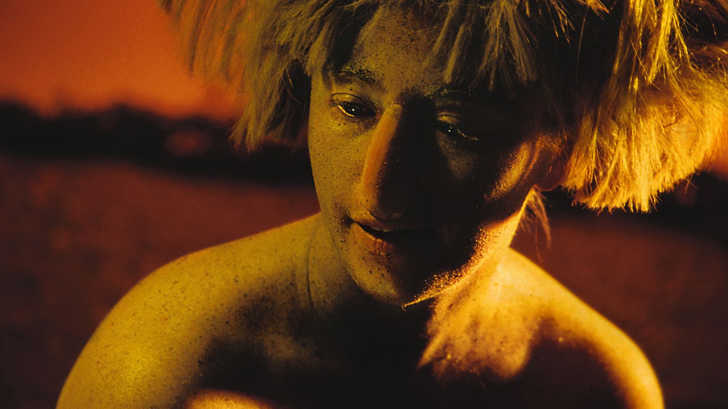 This photograph by Cindy Sherman shows her herself dressed up as a fantastic creature. Her hair is a wig, which protrudes to all sides, her skin is covered with a fine-grained yellowish-green paste, on her nose sits a clumsy cap.