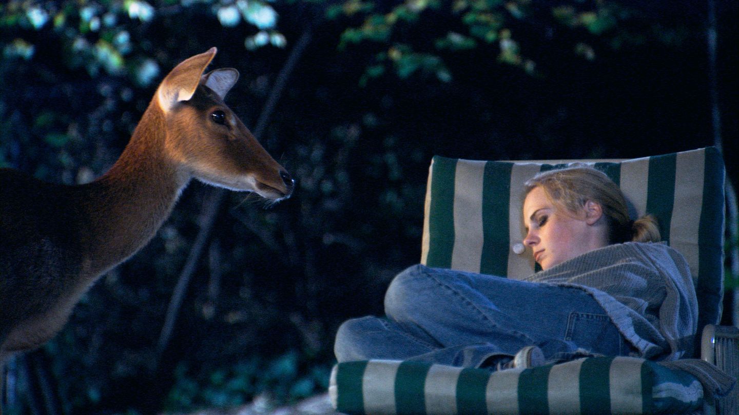 Video Still showing a young woman with blonde hair tied in a braid sleeping on a green and white striped couch. To her left, a deer stands in profile and seems to be looking at her. Teresa Hubbard/Alexander Birchler, Sammlung Goetz Munich