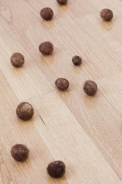Installation view of the work "Moutons" by the artist Mona Hatoum. This consists of dark brown hair balls carefully rolled into delicate balls. Mona Hatoum, Sammlung Goetz Munich