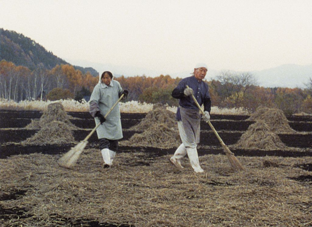 In this video still, an Asian farmer couple works with rakes in a field, forming hip-high haystacks that can be seen in the background.