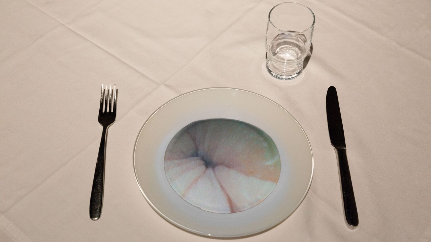 Detail der Arbeit Deep Throat von Mona Hatoum, bestehend aus einem Teller, dessen Essensfläche die Aufnahme einer Magenspiegelung zeigt, samt Messer und Gabel sowie Wasserglas. Sammlung Goetz München
