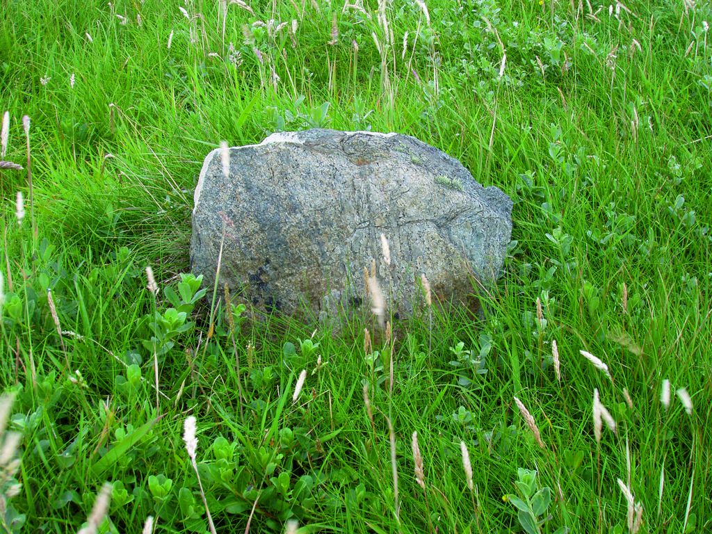 Video Still showing a grey stone in laying in green grass. Christoph Brech, Sammlung Goetz Munich