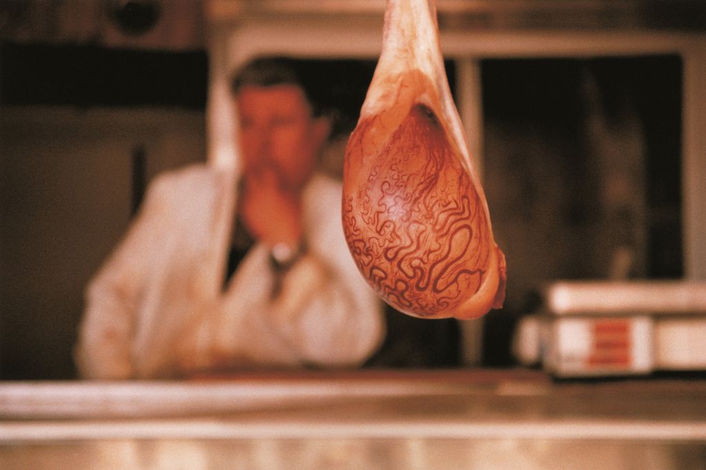 Photographic image of a sheep's testicle hanging in the air, which is in the focus of the camera. In the blurred background, a man in a white coat stands behind a counter, resting an elbow on it. Mona Hatoum, Sammlung Goetz Munich