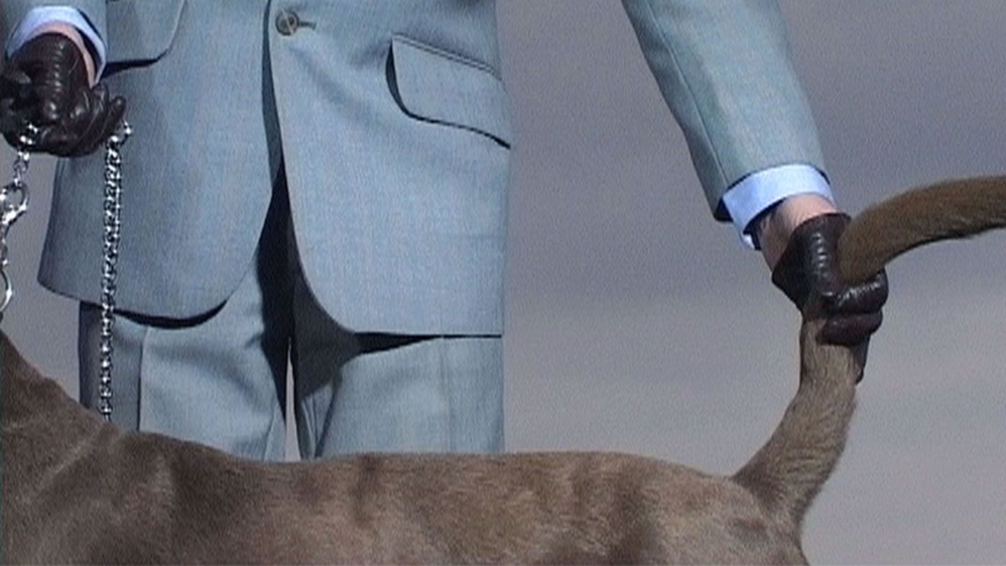 Ausschnitt, das den Rücken eines grauen Hundes zeigt, der an einer silbernen Kette angeleint ist und von einer männlichen Person mit der einen lederbehandschuhten Hand geführt und mit der anderen am Schwanz gepackt wird. Annika Larsson, Sammlung Goetz München