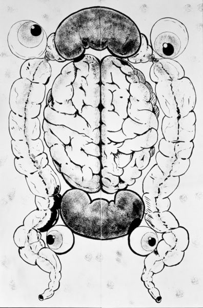 Diese Zeichnung beinhaltet ein schwarz-weißes Gebilde aus neu angeordneten menschlichen Organen. Das Gehirn befindet sich in der Mitte, oben und unten sind Nieren, seitlich befindet sich der Dickdarm und an den vier Ecken sind Augäpfel angebracht.