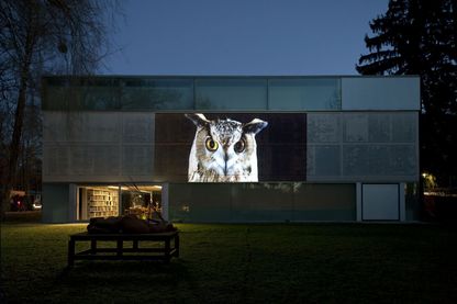 Foto der Sammlung Goetz in der Abenddämmerung, mit einer Skulptur vor dem hell erleuchteten Eingangsbereich. Auf den Holzpaneelen des Sammlungsgebäudes ist ein Video von Doug Aitken projiziert, das gerade die Frontalansicht eines Virginia-Uhus zeigt. Doug Aitken, Sammlung Goetz München