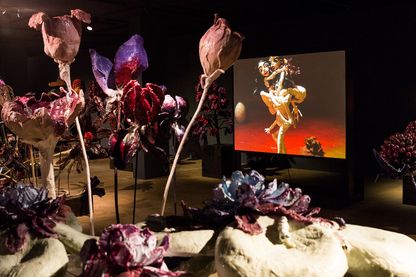 Detailaufnahme der rauminstallativen Arbeit "The Experiment", bestehend aus 130 Blumen, 34 Podesten und 3 Leinwänden. Die Blumen bestehen aus vielerlei Materialien und füllen den schwarz gestrichenen Raum an. Nathalie Djurberg, Sammlung Goetz München