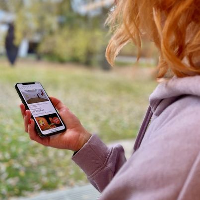 Eine Hand hält ein Handy, auf dem die Webseite der Sammlung Goetz angezeigt wird