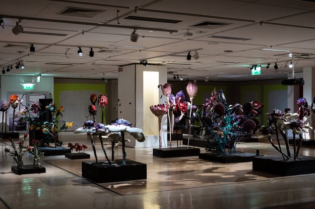 Gloomy walk-in installation with oversized flower sculptures