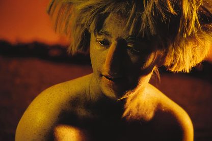 Diese Fotografie von Cindy Sherman zeigt sie selbst als fantastisches Wesen verkleidet. Die Haare sind eine Perücke, welche zu allen Seiten absteht, die Haut ist mit einer feinkörnigen gelblich-grünen Paste bedeckt, auf der Nase sitzt ein plumper Aufsatz.