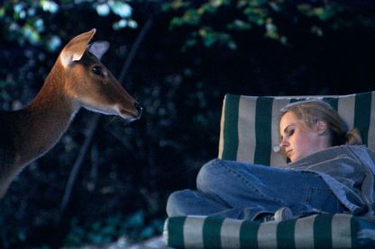 Video Still, das eine junge Frau mit zu einem Zopf gebundenen, blonden Haaren schlafend auf einer grün-weiß gestreiften Liege zeigt. Links neben ihr steht ein Reh im Profil und scheint sie zu betrachten. Teresa Hubbard/Alexander Birchler, Sammlung Goetz München