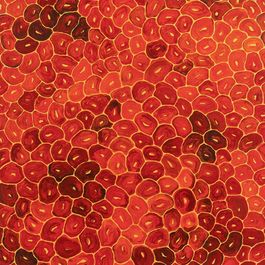 Link to the YouTube channel of the Sammlung Goetz