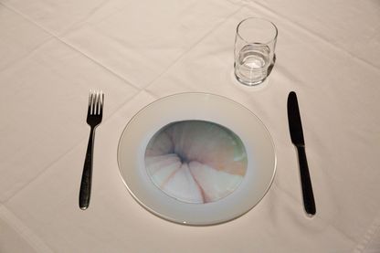 Detail der Arbeit Deep Throat von Mona Hatoum, bestehend aus einem Teller, dessen Essensfläche die Aufnahme einer Magenspiegelung zeigt, samt Messer und Gabel sowie Wasserglas. Sammlung Goetz München