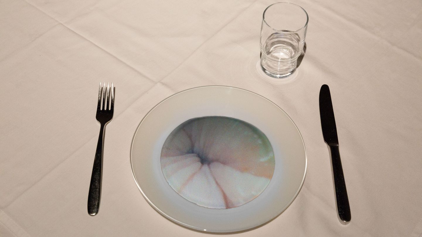 Detail of the work Deep Throat by Mona Hatoum, consisting of a plate whose eating surface shows a photograph of a gastroscopy, together with a knife and fork and a glass of water. Sammlung Goetz Munich