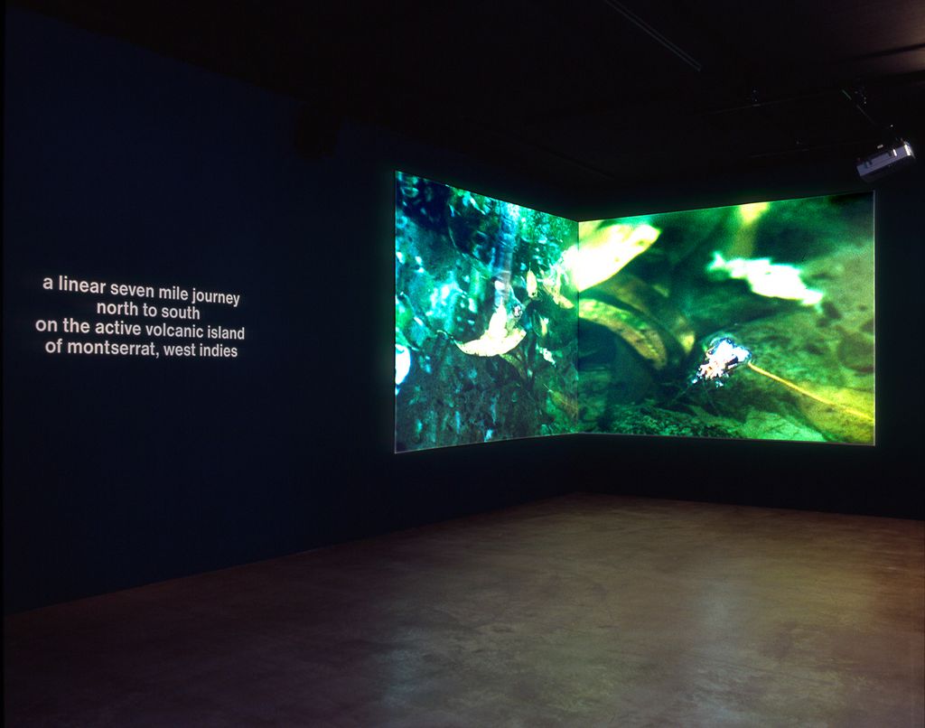 Installationsansicht, Mehrkanalprojektion mit Naturaufnahmen und Text. Doug Aitken, Sammlung Goetz München