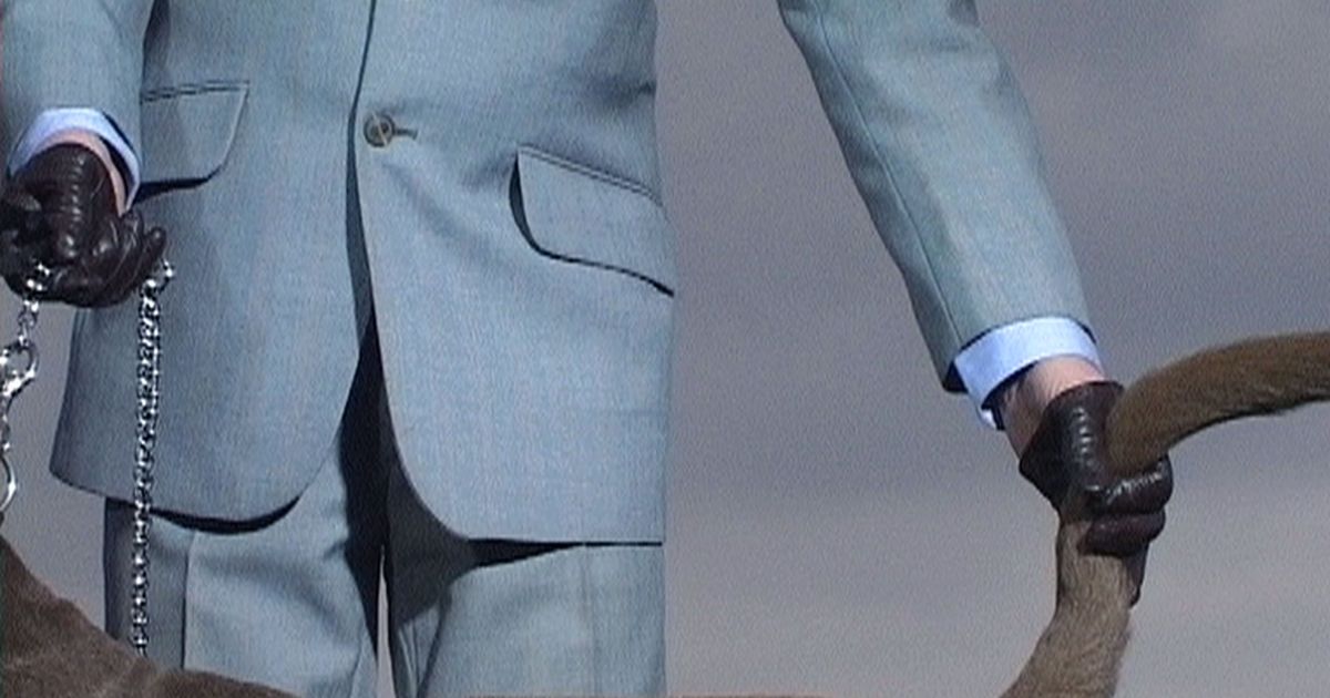 The Cold Libido - Exhibitions - Sammlung Goetz Munich