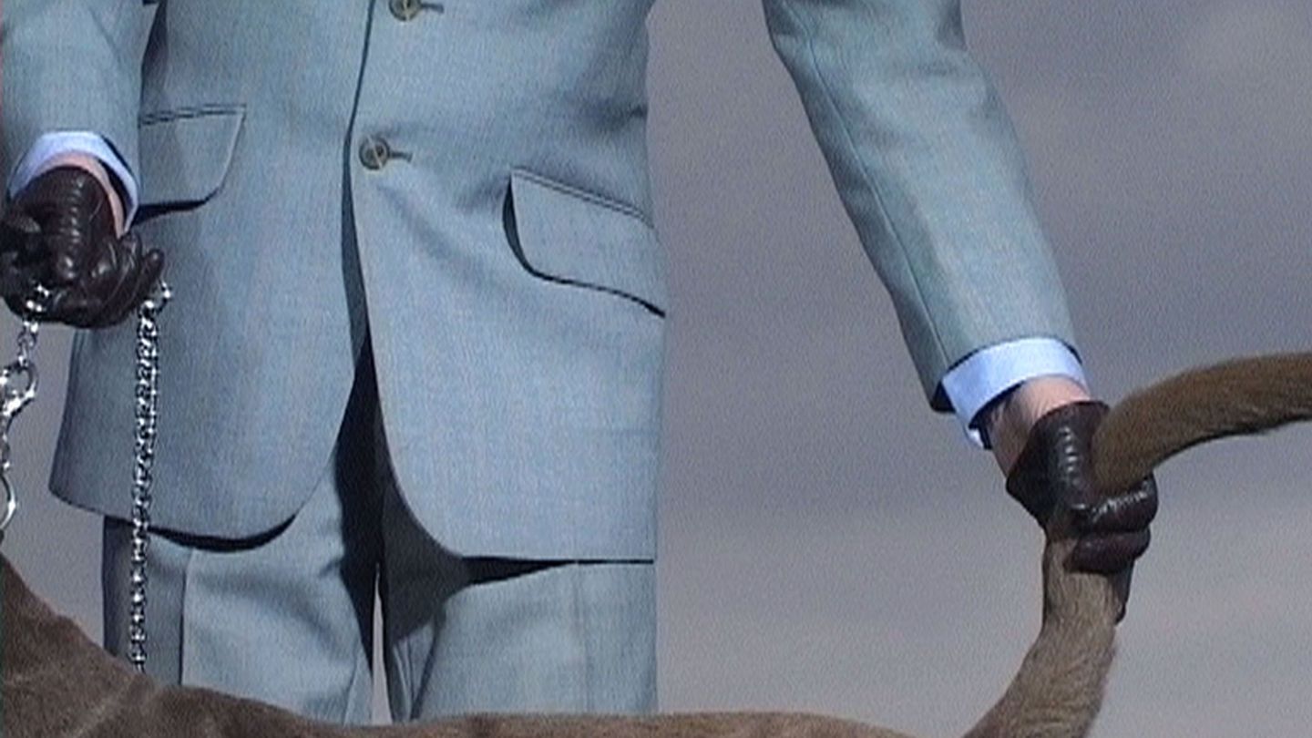 Cut-out showing the back of a grey dog leashed to a silver chain and being led by a male person with one leather-gloved hand and grabbed by the tail with the other. Annika Larsson, Sammlung Goetz Munich