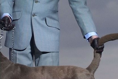 Ausschnitt, das den Rücken eines grauen Hundes zeigt, der an einer silbernen Kette angeleint ist und von einer männlichen Person mit der einen lederbehandschuhten Hand geführt und mit der anderen am Schwanz gepackt wird. Annika Larsson, Sammlung Goetz München