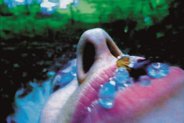 Ein Gesciht, vor allem Mund und Nase, von unten aufgenommen. Auf dem Mund liegen bunte glitzernde Steine. 