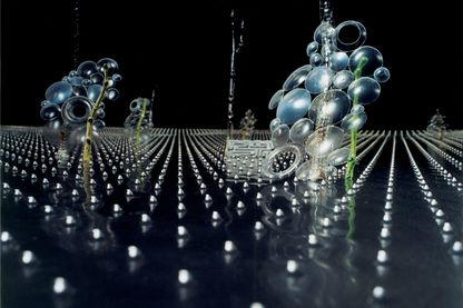 Video Still, das eindeutig futuristische Züge aufweist. Zu sehen ist ein schwarzer Raum mit schwarzem Boden, sodass der Betrachtende schwer erkennen kann, wo der Raum beginnt oder aufhört. Auf dem Boden befinden sich in Reihen angeordnete Tropfen, dazwischen sind pflanzenartige Gebilde zu erkennen, die beinahe wie Skulpturen wirken. Saskia Olde Wolbers, Sammlung Goetz München