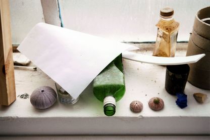 Stilleben mit Seeigel-Skeletten, Gläsern, Flaschen und Papierbögen auf einem Fensterbrett. Wolfgang Tillmans, Sammlung Goetz, München